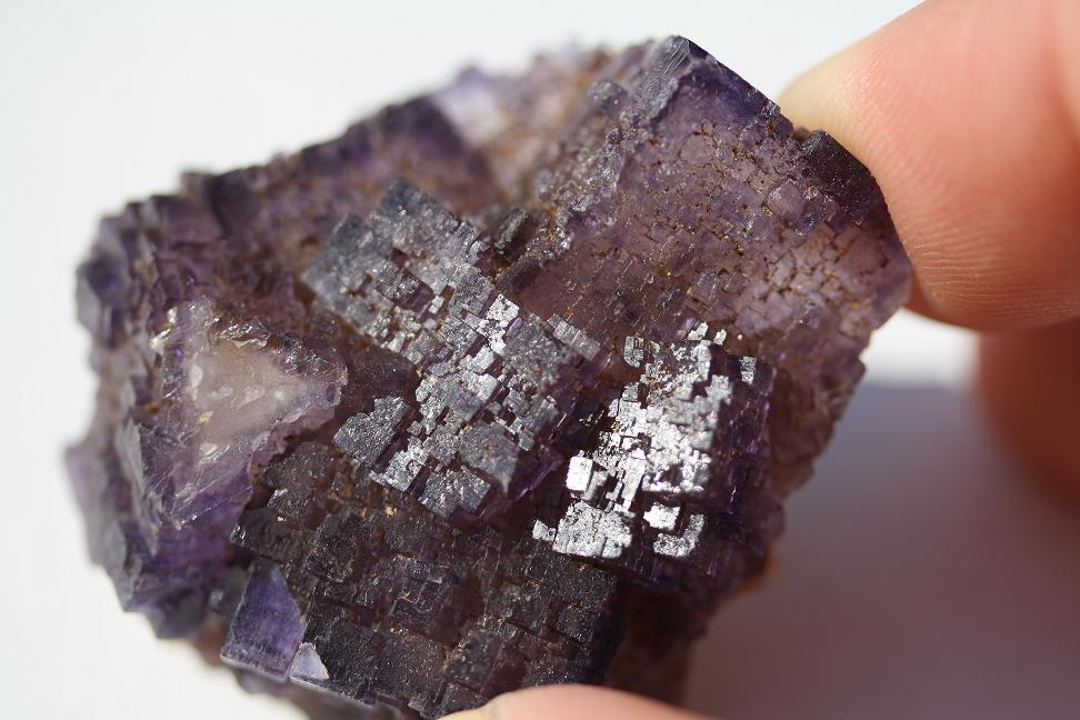 fluorite_marion.JPG
